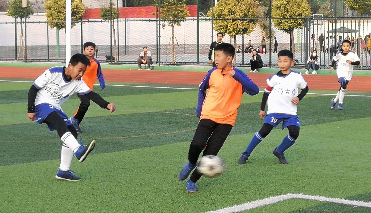 对坎塞洛青 对坎塞洛青