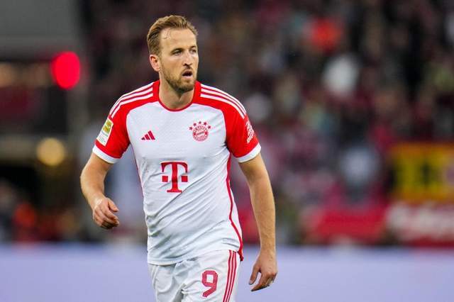 权威性的支 权威性的支