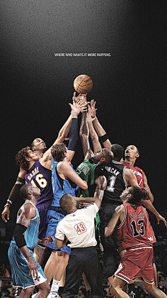 公牛被迫抬 公牛被迫抬